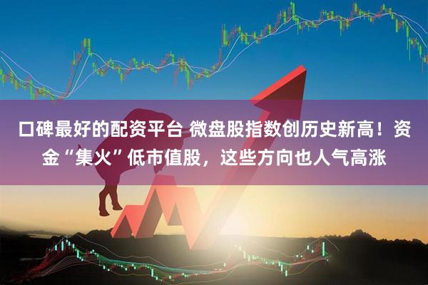 口碑最好的配资平台 微盘股指数创历史新高！资金“集火”低市值股，这些方向也人气高涨