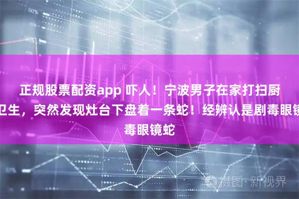 正规股票配资app 吓人！宁波男子在家打扫厨房卫生，突然发现灶台下盘着一条蛇！经辨认是剧毒眼镜蛇